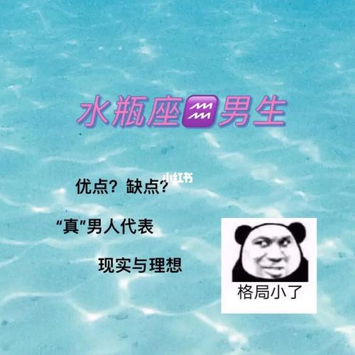 水瓶座7415男生|优点与缺点都明显的