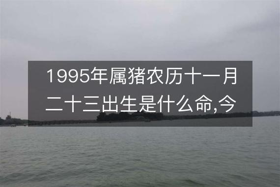 1995年属猪农历十一月二十三出生是什么命,今日生辰八字查询