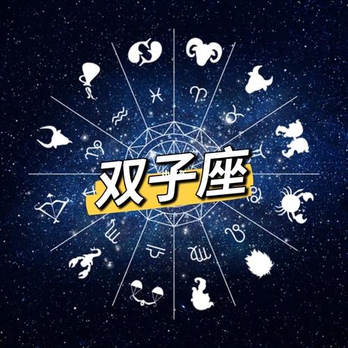 十二星座之双子座76