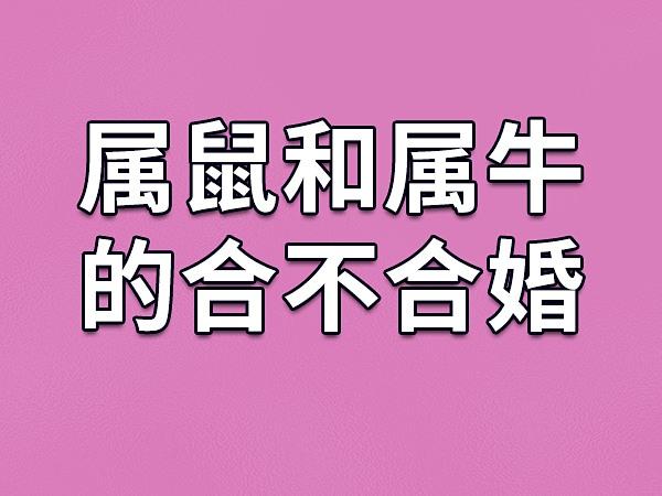 不过还是有些人是比较在意属相的相生相克关系的,他们会多和自己相合