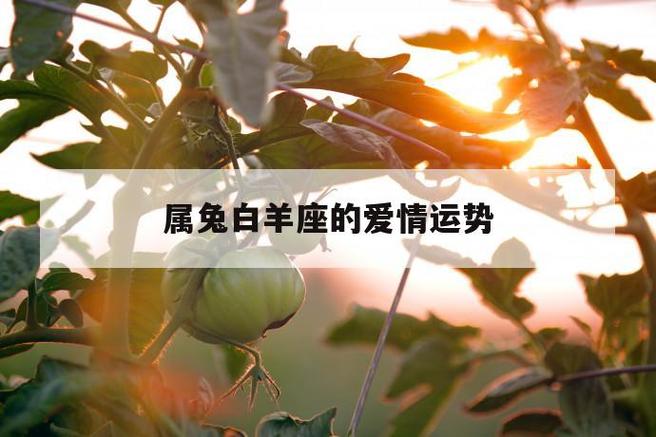 属兔白羊座最配 属兔白羊座2023年运势