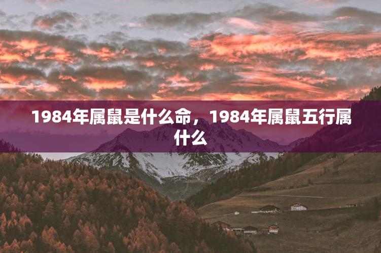 1984年属鼠人命运,1984年属鼠的人是什么命