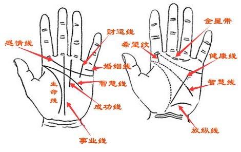 手相秘诀之实战至应验篇,你也能轻松成为手相大师!