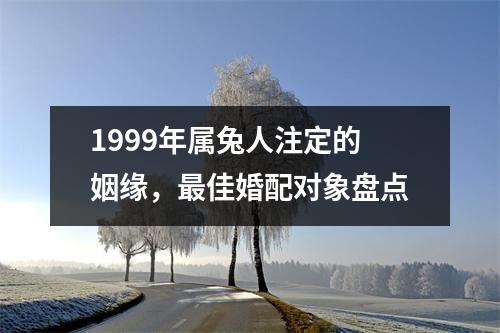 1999年属兔人注定的姻缘,更佳婚配对象盘点