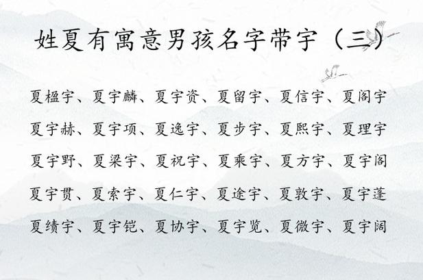 夏字起名女孩名字