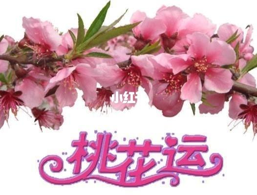 测 桃花 看正缘,测 未来 把握机遇_桃花_测测你的桃花运_星座命理