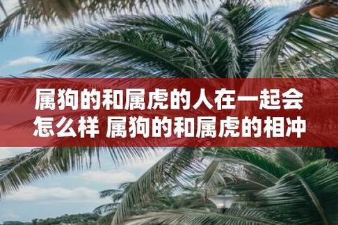 属狗的和属虎的人在一起会怎么样 属狗的和属虎的相冲吗