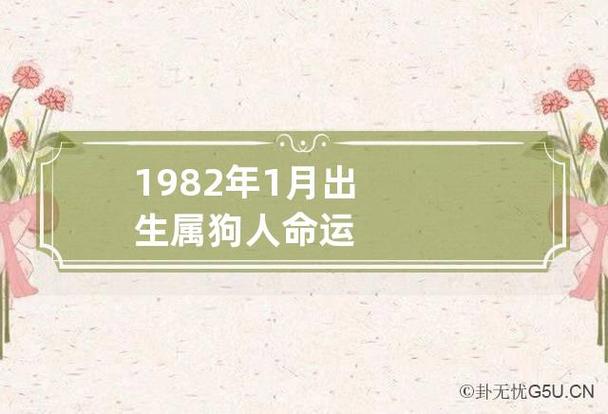 1982年1月出生属狗人命运