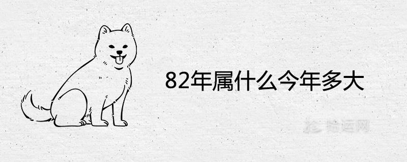 82年属什么今年多大2023年出生年份年龄对照表