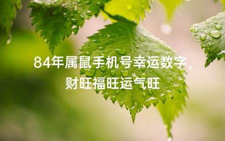 数字3,8是最旺他们财运的,如果他们用这个数字去作为手机号码尾数的话