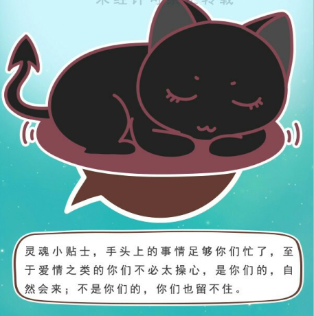 猫石对话2023年3月运势(6):六月小喵喵 - 美国神婆星座网