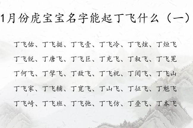 1月份虎宝宝名字能起丁飞什么 丁姓带飞男孩名字_有才起名网