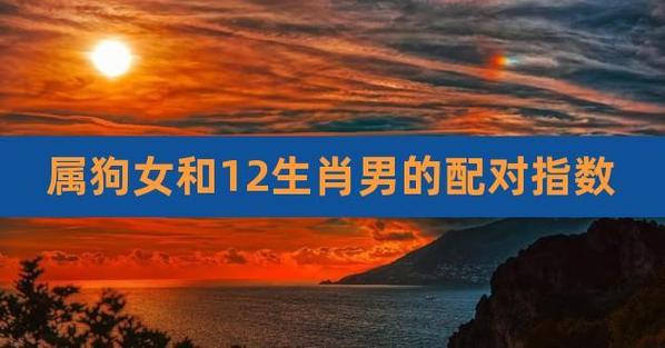 1994年属狗男的婚配 94属狗男和什么属相最合适 - 卜安居