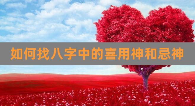 如何找八字中的喜用神和忌神(怎么看八字的喜用神)