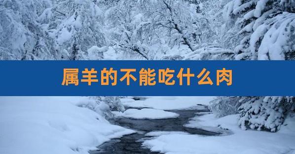 属羊能吃羊肉吗 属羊的能克死属鼠的