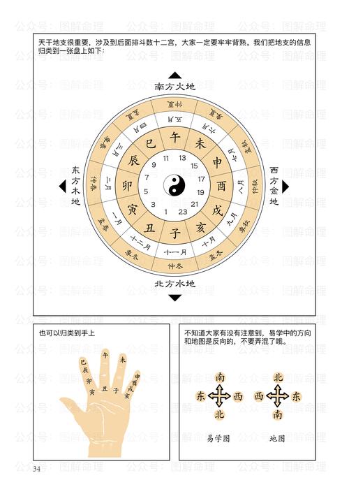 七天干地支