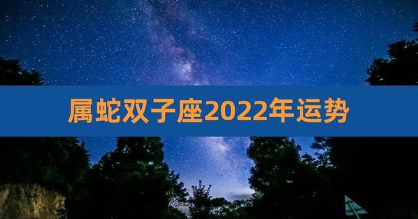 属蛇的双子座最配(属蛇双子座2023年下半年)