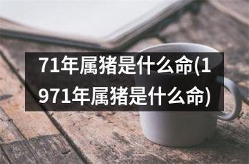 71年属猪是什么命格